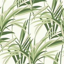 Green &amp;amp; White Tropical Paradise Windy Reeds Wallpaper