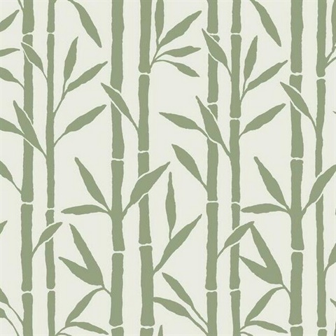Green & White Vertical Bamboo Reed Grove Wallpaper