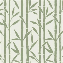 Green & White Vertical Bamboo Reed Grove Wallpaper