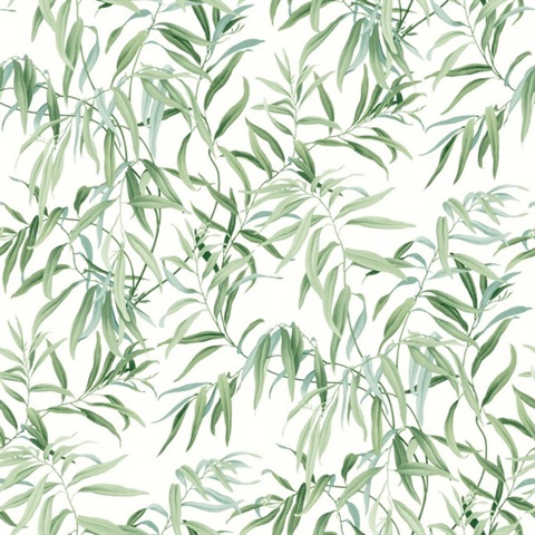 Green Willow Leaf Wallpaper