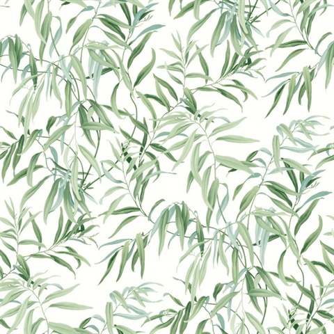 Green Willow Leaf Wallpaper