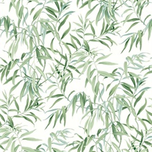 Green Willow Leaf Wallpaper