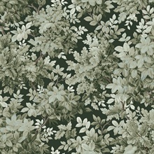 Greenwood Dark Green Deciduous Wallpaper