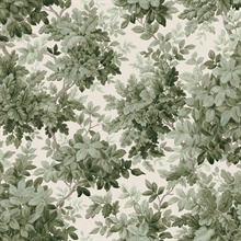 Greenwood Moss Deciduous Wallpaper
