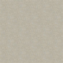 Grey Allen Texture