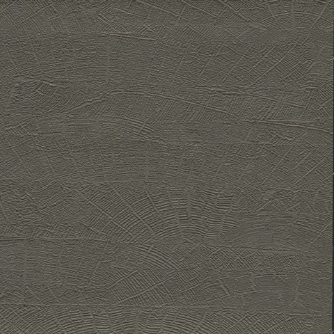 Grey & Brown On Deck Faux Wood Pattern Wallpaper