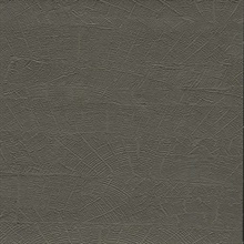 Grey & Brown On Deck Faux Wood Pattern Wallpaper