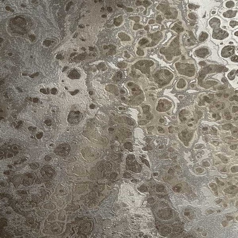 Grey Celestial Metallic Textured Wallpaper
