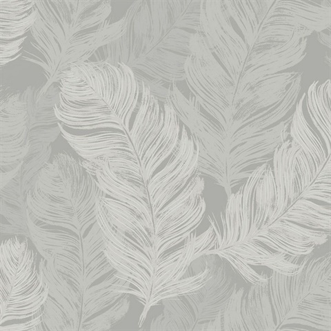 Grey Feathers Wallpaper
