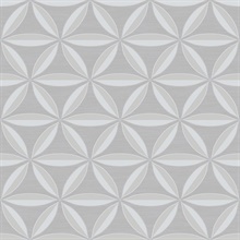 Grey Floral Geometric Trellis Shape Wallpaper