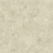 Grey Fusion Texture