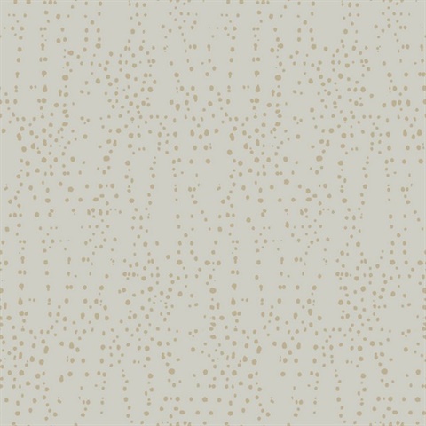 Grey & Gold Star Struck Metallic Dots Wallpaper