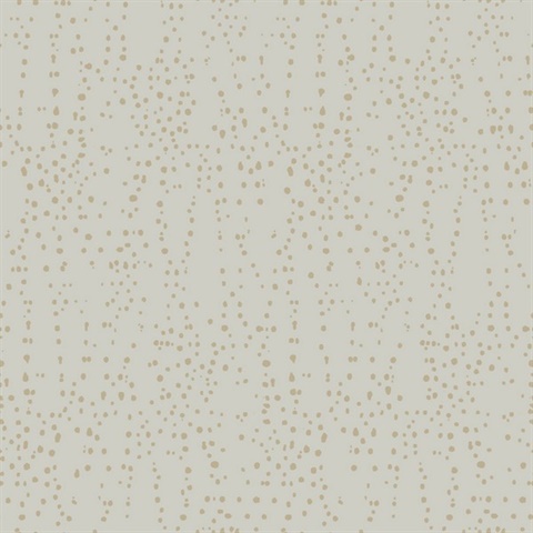 Grey & Gold Star Struck Metallic Dots Wallpaper