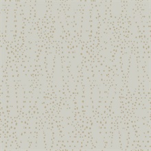 Grey &amp; Gold Star Struck Metallic Dots Wallpaper