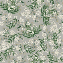 Grey & Green Cornflower Floral Blooms Wallpaper