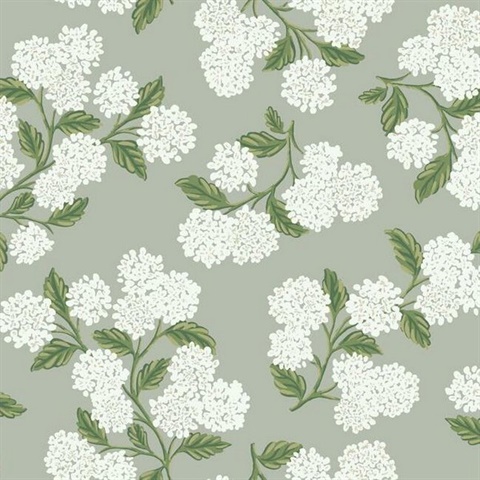 Grey, Green & White Hydrangea Floral Rifle Paper Wallpaper