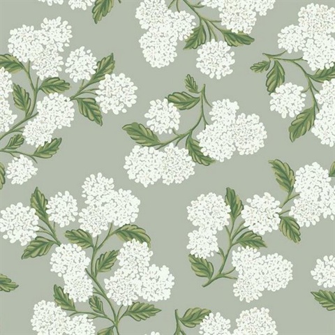 Grey, Green & White Hydrangea Floral Rifle Paper Wallpaper
