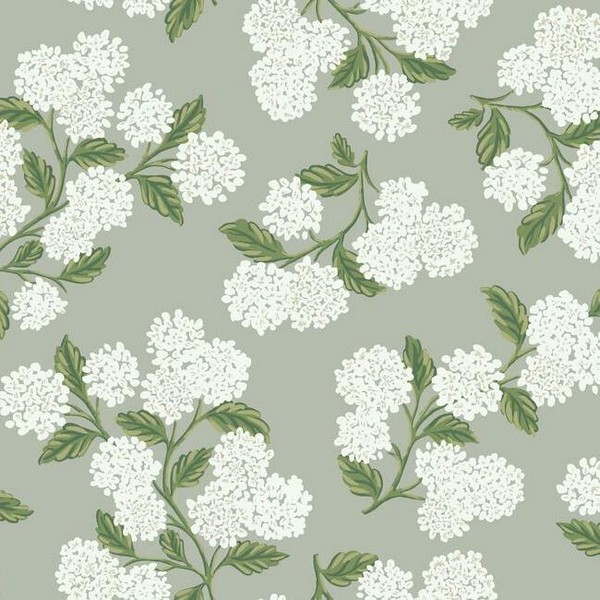 RI5144 | Grey, Green & White Hydrangea Floral Rifle Paper Wallpaper