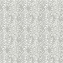 Grey Kira Ogee Leaf Husk Wallpaper