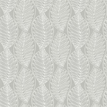 Grey Kira Ogee Leaf Husk Wallpaper