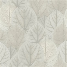 Grey Leaf Concerto Metallic Detail Wallpaper