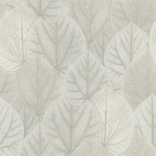 Grey Leaf Concerto Metallic Detail Wallpaper