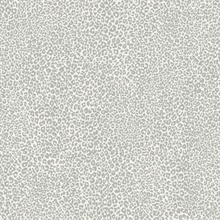 Grey Leopard King Animal Skin Wallpaper