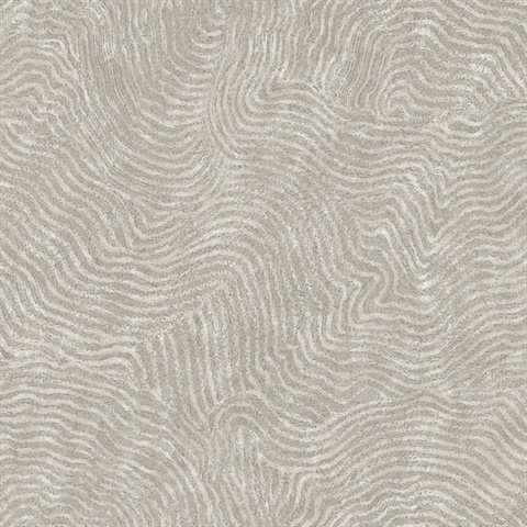 Grey Modern Wood Abstract Grain Wallpaper