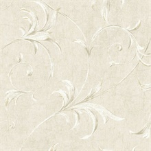 Grey Ogee Acanthus Scroll