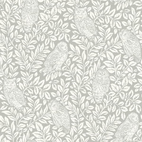Grey Parliament Grey Owl on Leaf Wallpaper