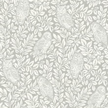 Grey Parliament Grey Owl on Leaf Wallpaper
