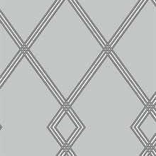 Grey Ribbon Stripe Trellis