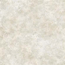 Grey Safe Harbor Marble