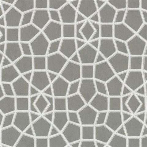 Grey Sculptural Web Trellis Wallpaper