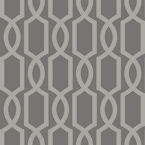 Grey & Silver Glass Bead Textured Trellis Wallpaper