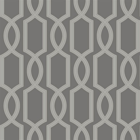 Grey & Silver Glass Bead Textured Trellis Wallpaper