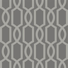Grey & Silver Glass Bead Textured Trellis Wallpaper