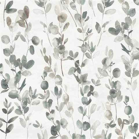 Grey & Taupe Joyful Eucalyptus Watercolor Leaf  Wallpaper