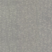Grey Weathered Cypress Faux Texture Stone Wallpaper