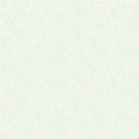 Grey & White Champagne Metallic Polka Dots Rifle Paper Wallpaper