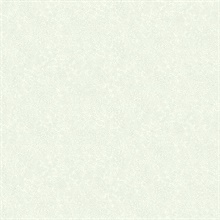 Grey & White Champagne Metallic Polka Dots Rifle Paper Wallpaper