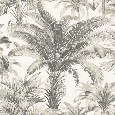 Grey & White Charleston Palm Tree Wallpaper