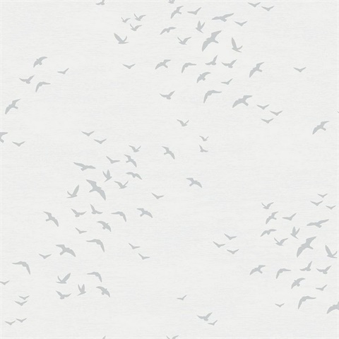 Grey & White Coastal Birds FLying South Wallpaper