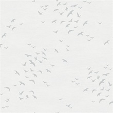 Grey & White Coastal Birds FLying South Wallpaper