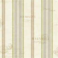 Grey, White & Green Commercial Island Stripe Wallpaper