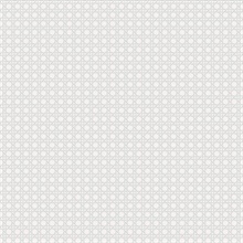 Grey & White  Wicker Screen Textured Wallpaper