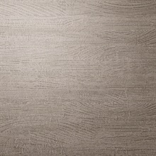 Grove Forest Timber Wood Ash