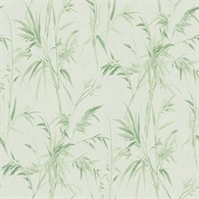 Hali Light Green Leaf Reeds Wallpaper