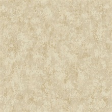 Haliya Champagne Metallic Plaster Wallpaper