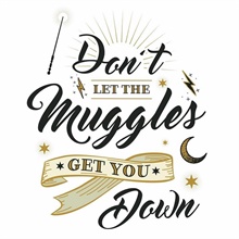 Harry Potter Muggles Wall Quote Wall Decals